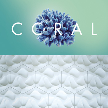 nmc Coral